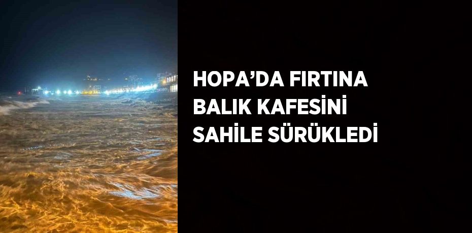 HOPA’DA FIRTINA BALIK KAFESİNİ SAHİLE SÜRÜKLEDİ