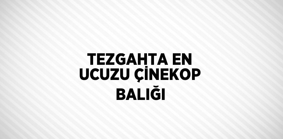 TEZGAHTA EN UCUZU ÇİNEKOP BALIĞI