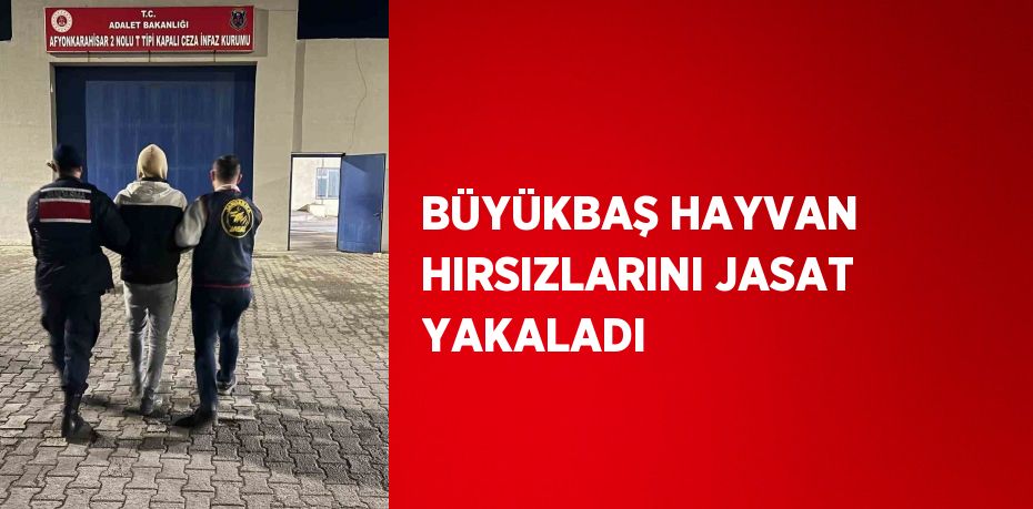 BÜYÜKBAŞ HAYVAN HIRSIZLARINI JASAT YAKALADI