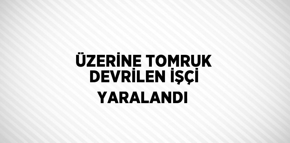 ÜZERİNE TOMRUK DEVRİLEN İŞÇİ YARALANDI