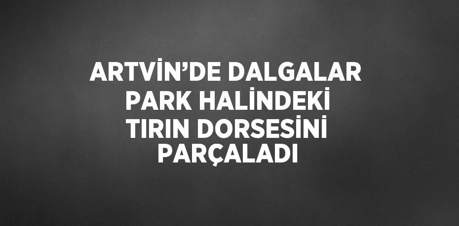 ARTVİN’DE DALGALAR PARK HALİNDEKİ TIRIN DORSESİNİ PARÇALADI