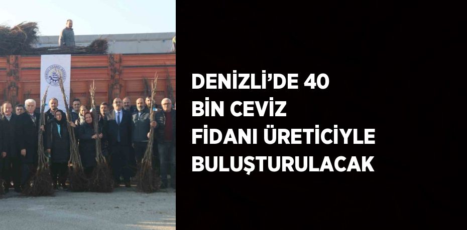 DENİZLİ’DE 40 BİN CEVİZ FİDANI ÜRETİCİYLE BULUŞTURULACAK