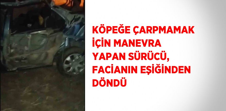 KÖPEĞE ÇARPMAMAK İÇİN MANEVRA YAPAN SÜRÜCÜ, FACİANIN EŞİĞİNDEN DÖNDÜ