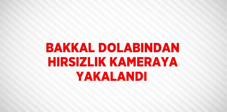 BAKKAL DOLABINDAN HIRSIZLIK KAMERAYA YAKALANDI