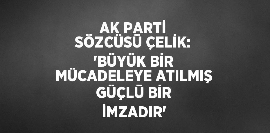 AK PARTİ SÖZCÜSÜ ÇELİK: 'BÜYÜK BİR MÜCADELEYE ATILMIŞ GÜÇLÜ BİR İMZADIR'