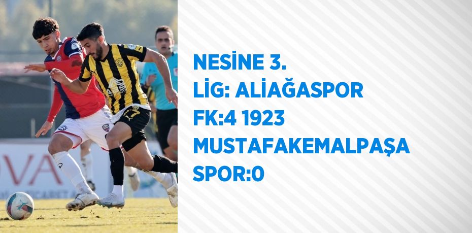 NESİNE 3. LİG: ALİAĞASPOR FK:4 1923 MUSTAFAKEMALPAŞA SPOR:0