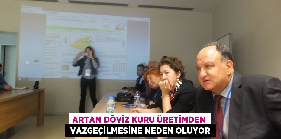 ARTAN DÖVİZ KURU ÜRETİMDEN  VAZGEÇİLMESİNE NEDEN OLUYOR