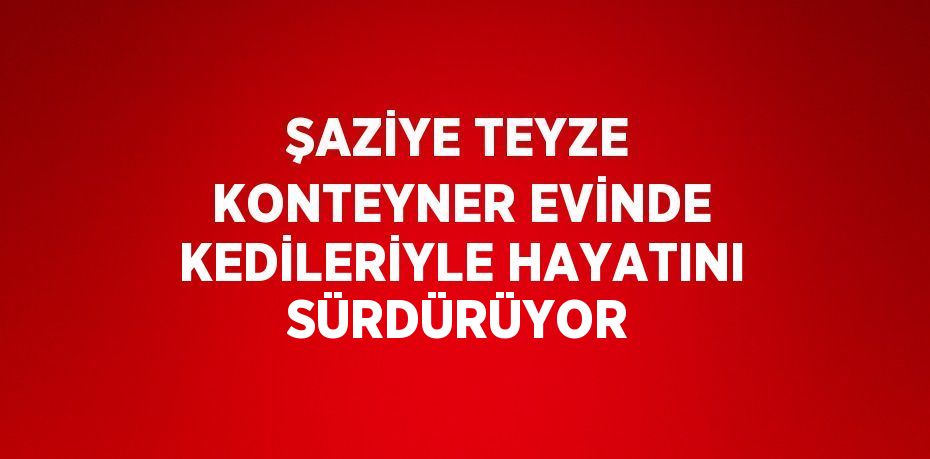 ŞAZİYE TEYZE KONTEYNER EVİNDE KEDİLERİYLE HAYATINI SÜRDÜRÜYOR