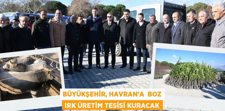 BÜYÜKŞEHİR, HAVRAN’A  BOZ IRK ÜRETİM TESİSİ KURACAK