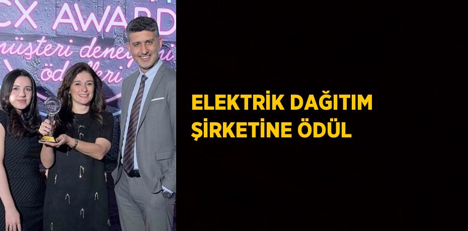 ELEKTRİK DAĞITIM ŞİRKETİNE ÖDÜL