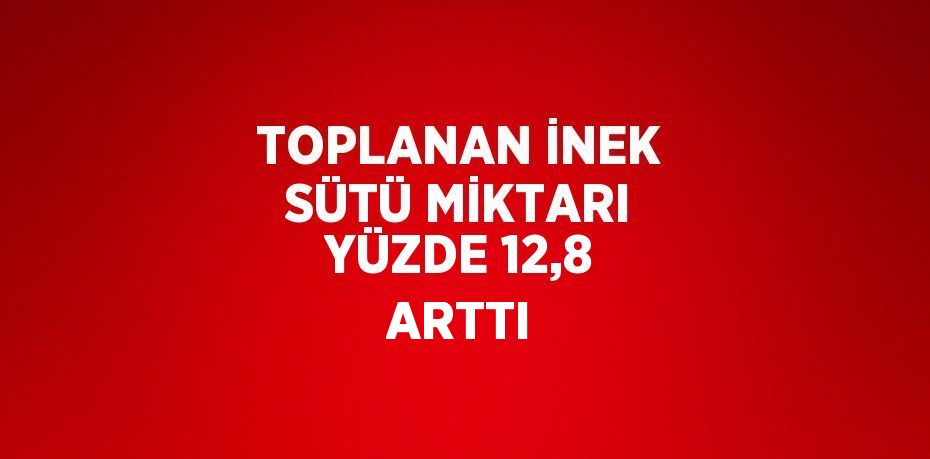 TOPLANAN İNEK SÜTÜ MİKTARI YÜZDE 12,8 ARTTI