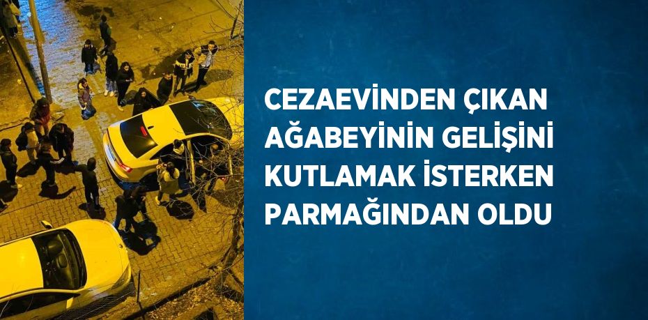 CEZAEVİNDEN ÇIKAN AĞABEYİNİN GELİŞİNİ KUTLAMAK İSTERKEN PARMAĞINDAN OLDU