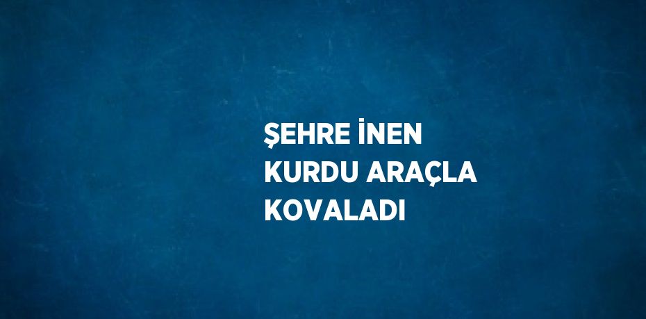 ŞEHRE İNEN KURDU ARAÇLA KOVALADI