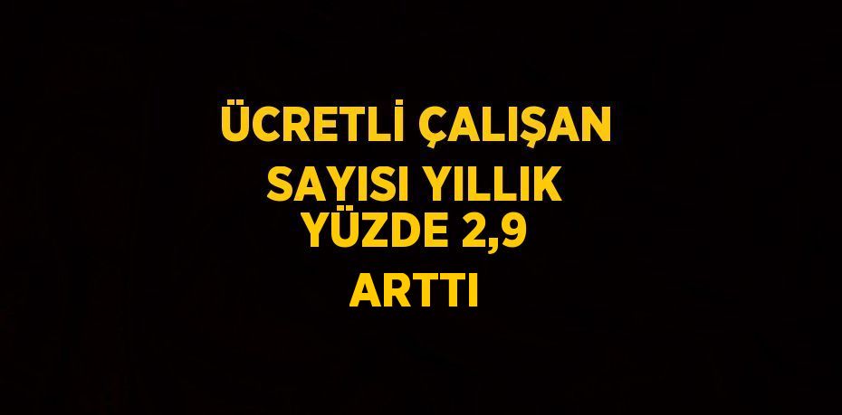 ÜCRETLİ ÇALIŞAN SAYISI YILLIK YÜZDE 2,9 ARTTI