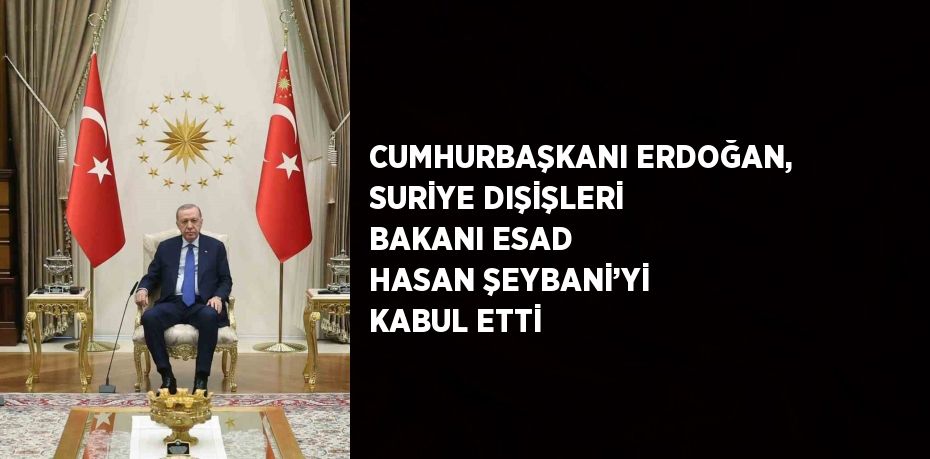 CUMHURBAŞKANI ERDOĞAN, SURİYE DIŞİŞLERİ BAKANI ESAD HASAN ŞEYBANİ’Yİ KABUL ETTİ