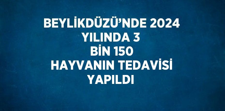 BEYLİKDÜZÜ’NDE 2024 YILINDA 3 BİN 150 HAYVANIN TEDAVİSİ YAPILDI