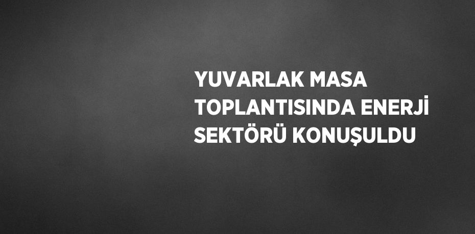 YUVARLAK MASA TOPLANTISINDA ENERJİ SEKTÖRÜ KONUŞULDU