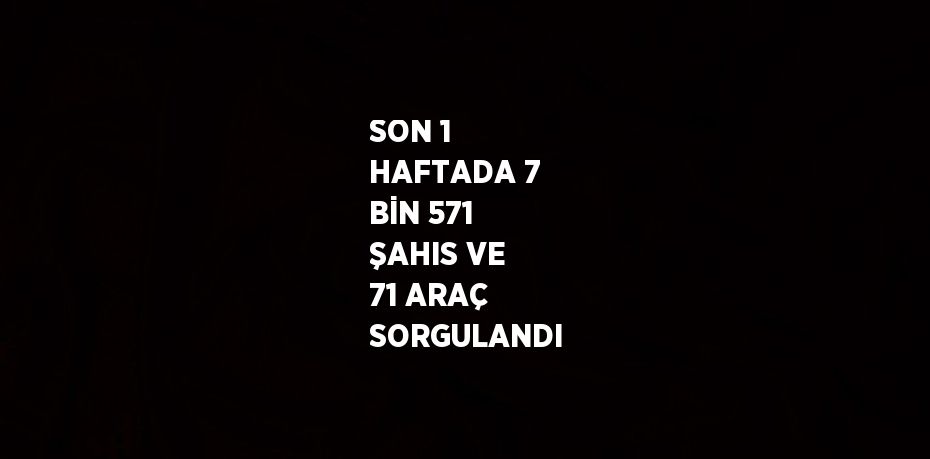 SON 1 HAFTADA 7 BİN 571 ŞAHIS VE 71 ARAÇ SORGULANDI