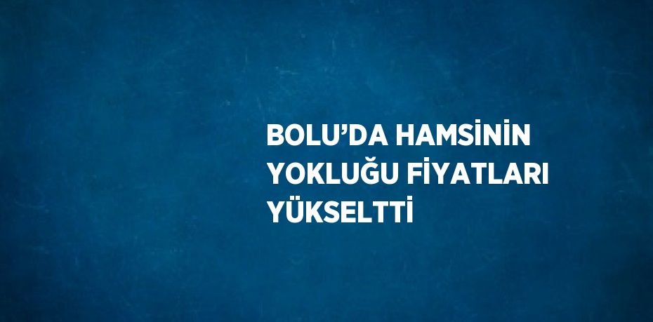 BOLU’DA HAMSİNİN YOKLUĞU FİYATLARI YÜKSELTTİ