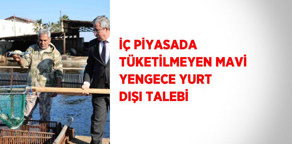 İÇ PİYASADA TÜKETİLMEYEN MAVİ YENGECE YURT DIŞI TALEBİ