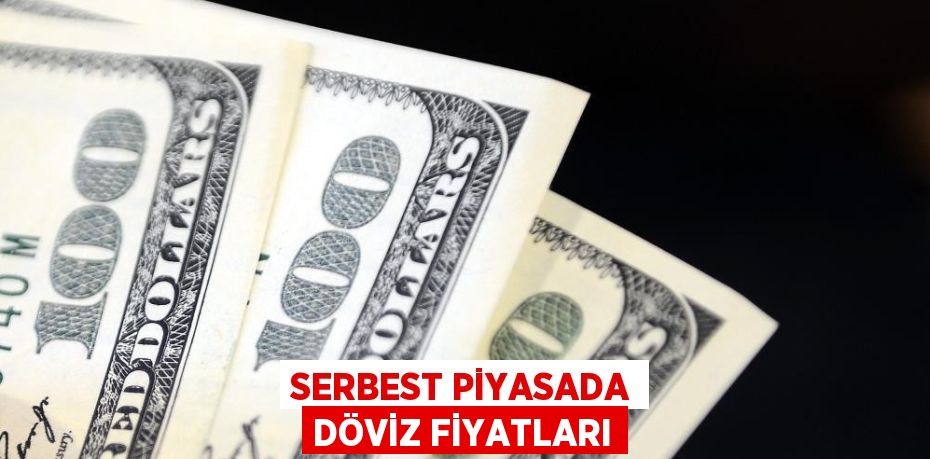 SERBEST PİYASADA DÖVİZ FİYATLARI