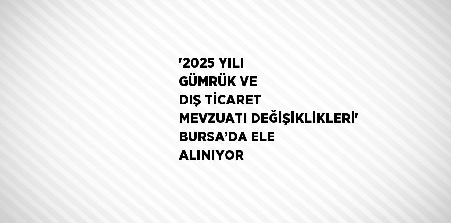 '2025 YILI GÜMRÜK VE DIŞ TİCARET MEVZUATI DEĞİŞİKLİKLERİ' BURSA’DA ELE ALINIYOR