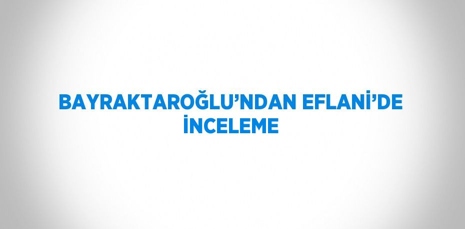 BAYRAKTAROĞLU’NDAN EFLANİ’DE İNCELEME