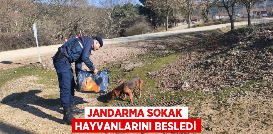 JANDARMA SOKAK HAYVANLARINI BESLEDİ