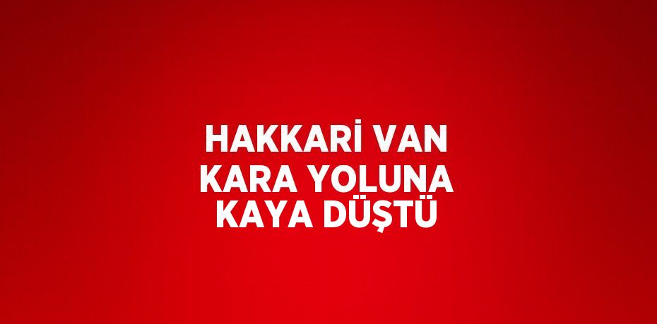 HAKKARİ VAN KARA YOLUNA KAYA DÜŞTÜ