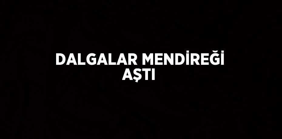 DALGALAR MENDİREĞİ AŞTI