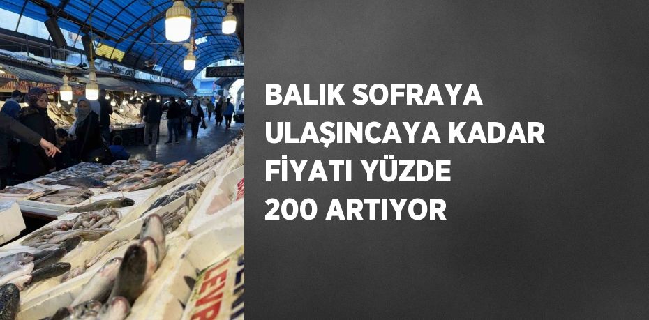 BALIK SOFRAYA ULAŞINCAYA KADAR FİYATI YÜZDE 200 ARTIYOR