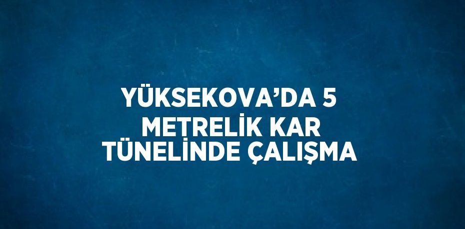 YÜKSEKOVA’DA 5 METRELİK KAR TÜNELİNDE ÇALIŞMA