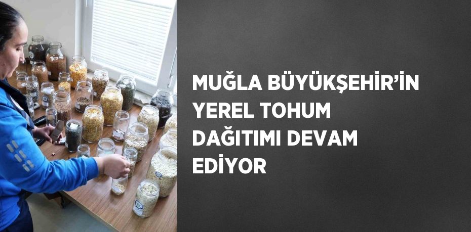 MUĞLA BÜYÜKŞEHİR’İN YEREL TOHUM DAĞITIMI DEVAM EDİYOR