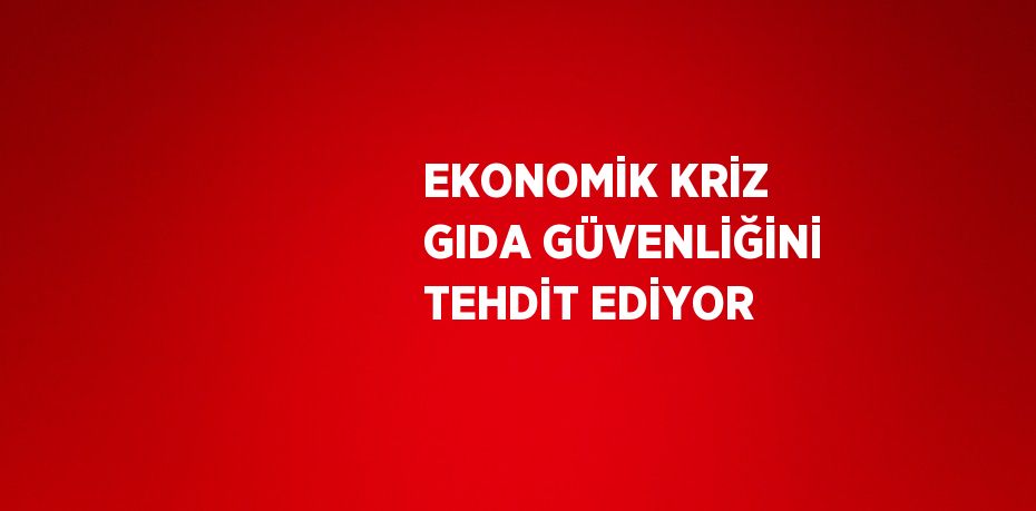 EKONOMİK KRİZ GIDA GÜVENLİĞİNİ TEHDİT EDİYOR