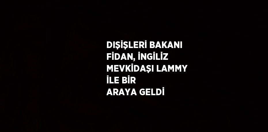 DIŞİŞLERİ BAKANI FİDAN, İNGİLİZ MEVKİDAŞI LAMMY İLE BİR ARAYA GELDİ