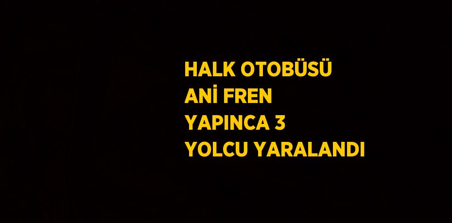 HALK OTOBÜSÜ ANİ FREN YAPINCA 3 YOLCU YARALANDI