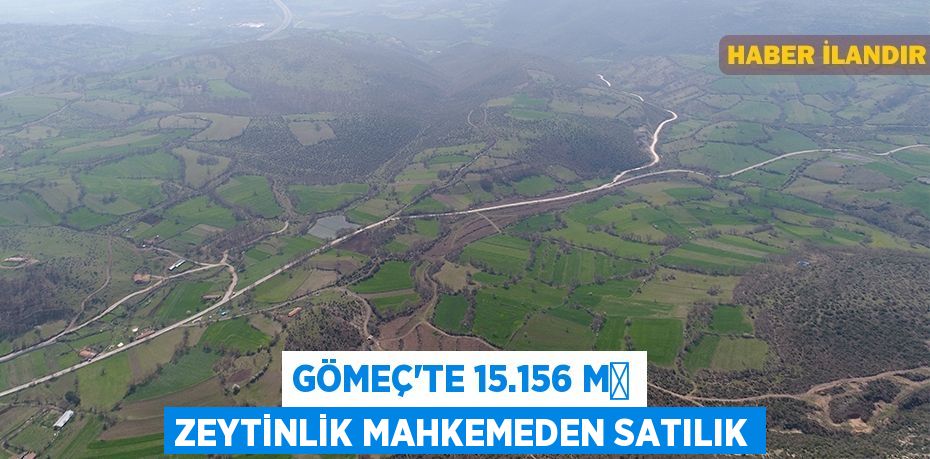 Gömeç'te 15.156 m² Zeytinlik mahkemeden satılık