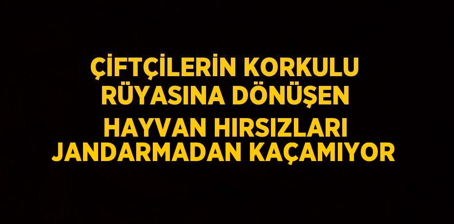 ÇİFTÇİLERİN KORKULU RÜYASINA DÖNÜŞEN HAYVAN HIRSIZLARI JANDARMADAN KAÇAMIYOR