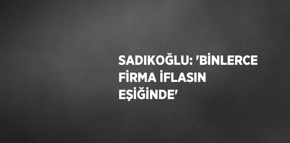 SADIKOĞLU: 'BİNLERCE FİRMA İFLASIN EŞİĞİNDE'