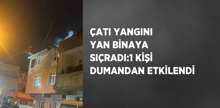 ÇATI YANGINI YAN BİNAYA SIÇRADI:1 KİŞİ DUMANDAN ETKİLENDİ