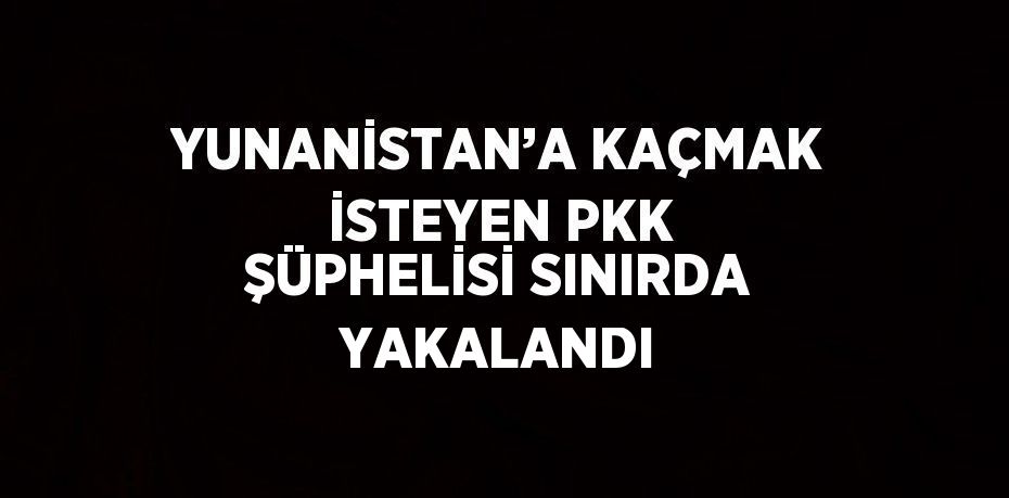 YUNANİSTAN’A KAÇMAK İSTEYEN PKK ŞÜPHELİSİ SINIRDA YAKALANDI