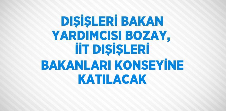 DIŞİŞLERİ BAKAN YARDIMCISI BOZAY, İİT DIŞİŞLERİ BAKANLARI KONSEYİNE KATILACAK