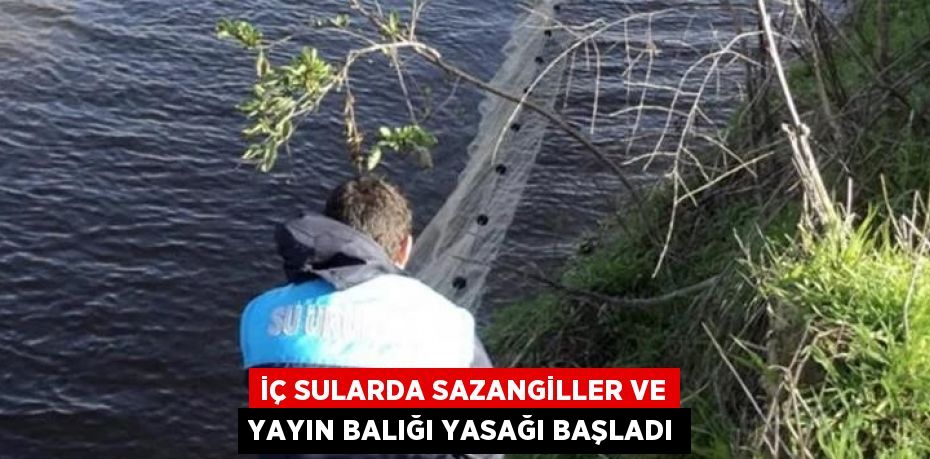 İÇ SULARDA SAZANGİLLER VE YAYIN BALIĞI YASAĞI BAŞLADI