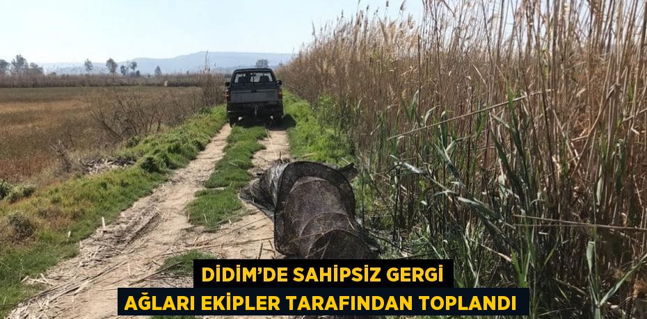 DİDİM’DE SAHİPSİZ GERGİ AĞLARI EKİPLER TARAFINDAN TOPLANDI