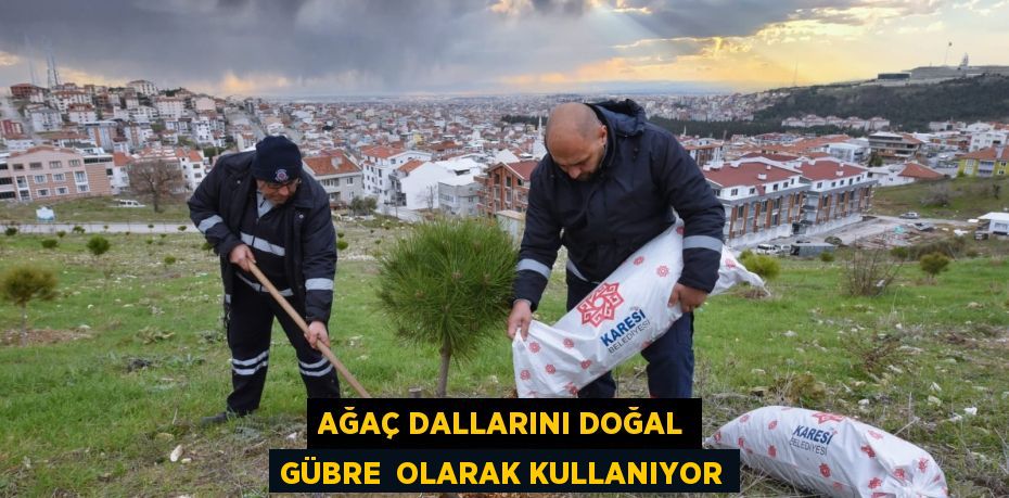 AĞAÇ DALLARINI DOĞAL GÜBRE  OLARAK KULLANIYOR