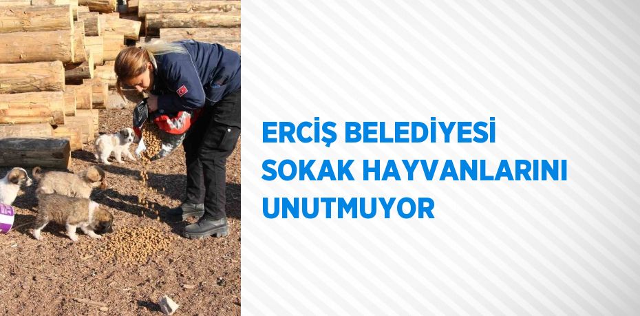 ERCİŞ BELEDİYESİ SOKAK HAYVANLARINI UNUTMUYOR