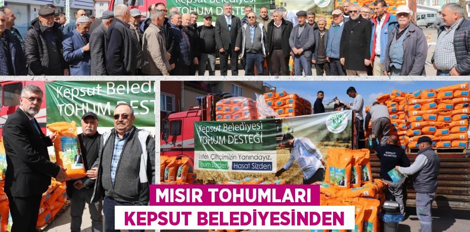 MISIR TOHUMLARI  KEPSUT BELEDİYESİNDEN