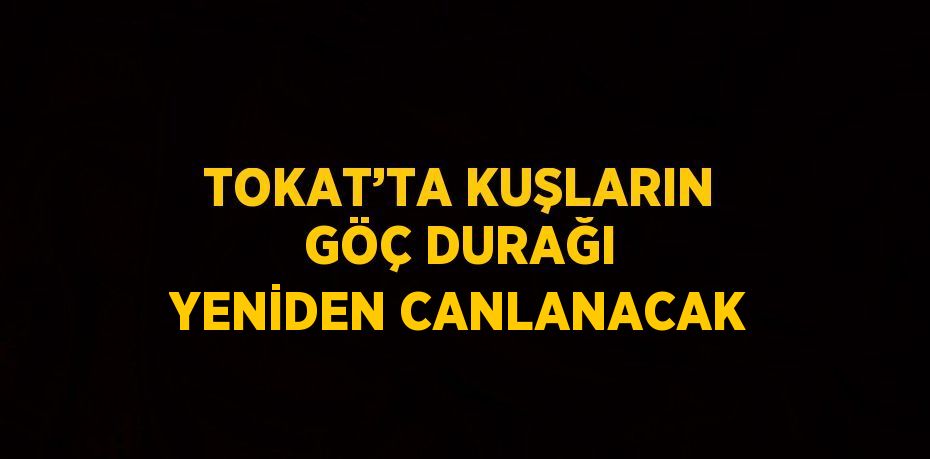 TOKAT’TA KUŞLARIN GÖÇ DURAĞI YENİDEN CANLANACAK