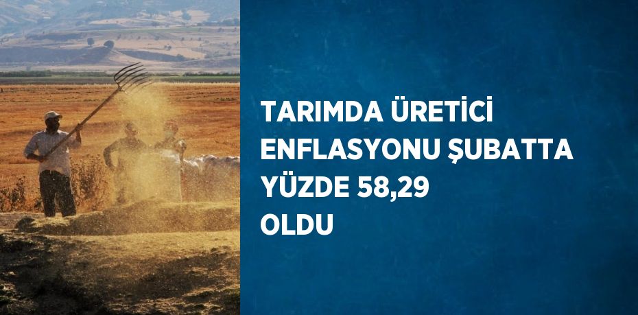 TARIMDA ÜRETİCİ ENFLASYONU ŞUBATTA YÜZDE 58,29 OLDU