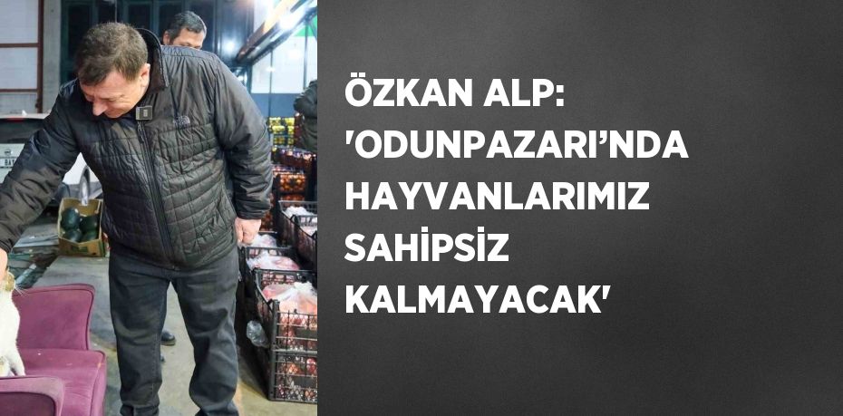 ÖZKAN ALP: 'ODUNPAZARI’NDA HAYVANLARIMIZ SAHİPSİZ KALMAYACAK'